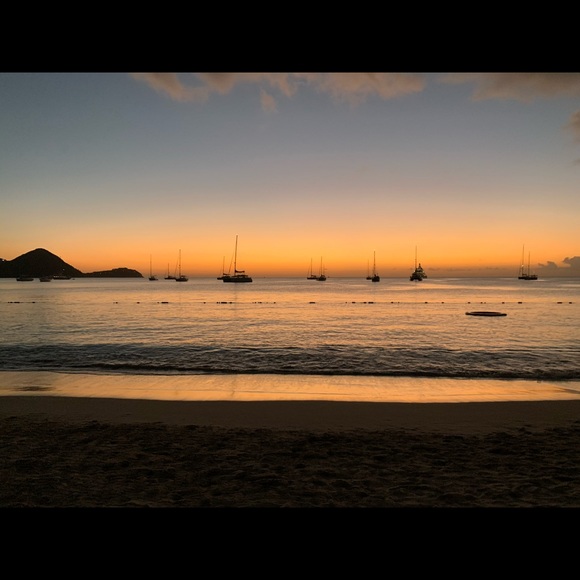 Meet your Posher, Rylie - Picture 1 of 1